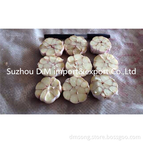 High Quality Chinese Fresh Garlic 5.0 cm